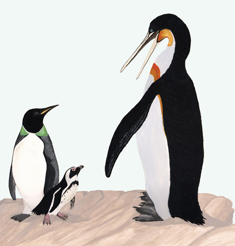 Giant penguin