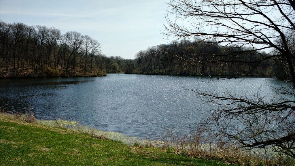 The lake at Van Meter State Part