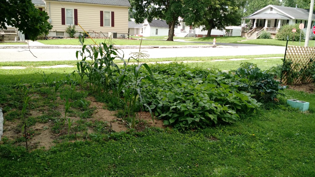 IMG_20150716_105553011