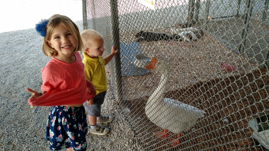Meg, hogging the camera...and Calvin, focusing on the goose in front of him