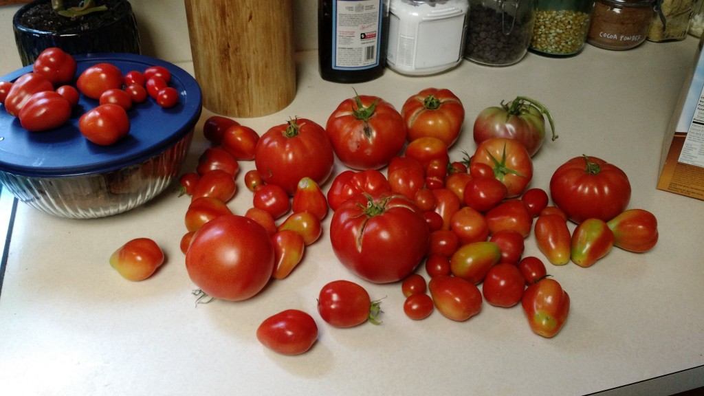 That's about it, so far...