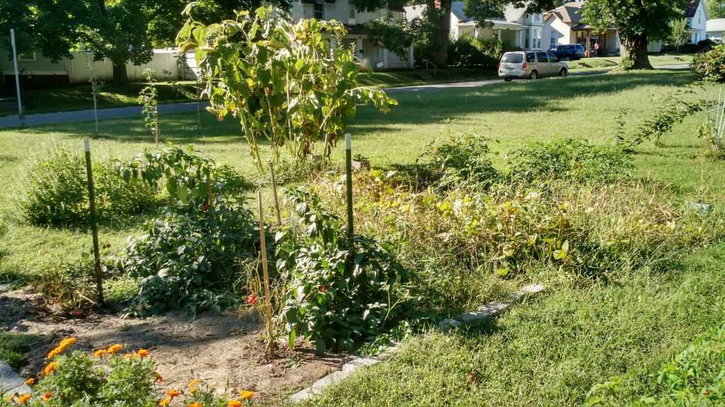 img_20160911_163844813_hdr